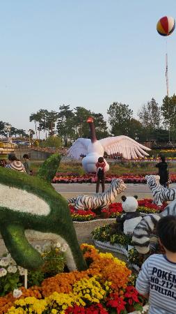 Yurim Park