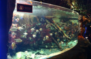 daejeon-aquarium